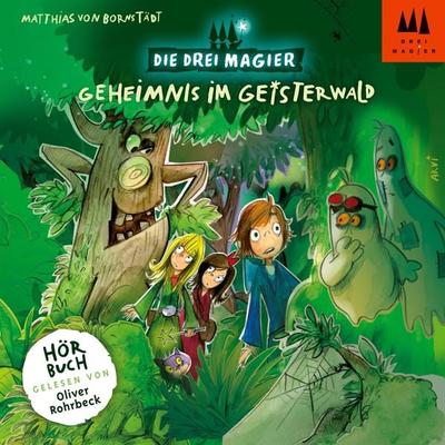 Geheimnis im Geisterwald - Matthias Bornstädt, Audio, 4033694231623
