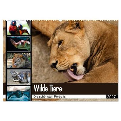 Wilde Tiere - Die schönsten Portraits (Wandkalender 2027 DIN A2 quer), CALVENDO Monatskalender