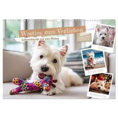 Westies zum Verlieben (Wandkalender 2027 DIN A3 quer), CALVENDO Monatskalender