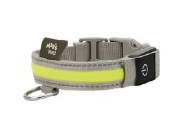 MAX & MILA'S WORLD Collier à LED pour chien