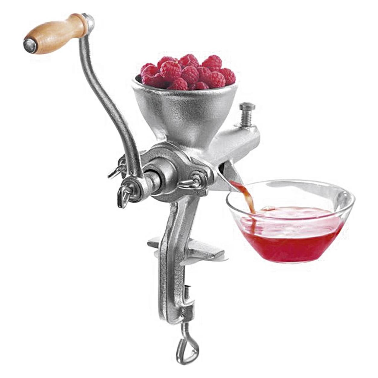 Krüger Frucht und Beerenpresse (FBPST)