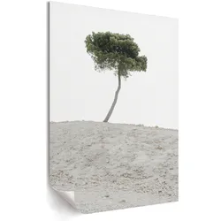 POSTER - 59x84 cm - X-Mario - Einsamer Baum