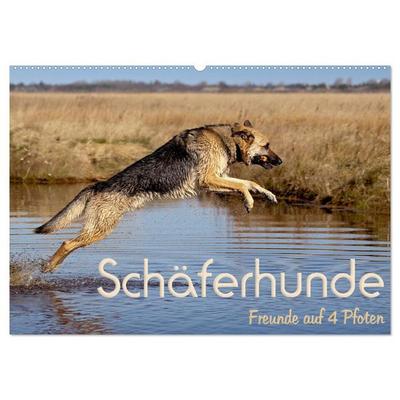 Schäferhunde - Freunde auf 4 Pfoten (Wandkalender 2026 DIN A2 quer), CALVENDO Monatskalender
