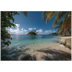 FOTOTAPETE Strand Palmen Blau 250x175 cm