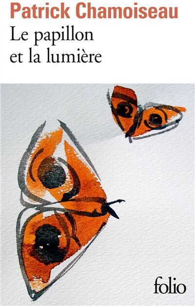 Patrick Chamoiseau - Le papillon et la lumière - Preis vom 13.10.2026 19:28:25 h