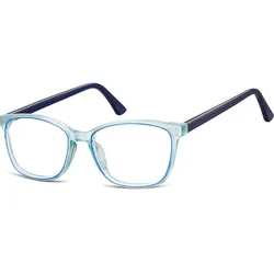 Brille Monatsbrille 2024 02 Februar