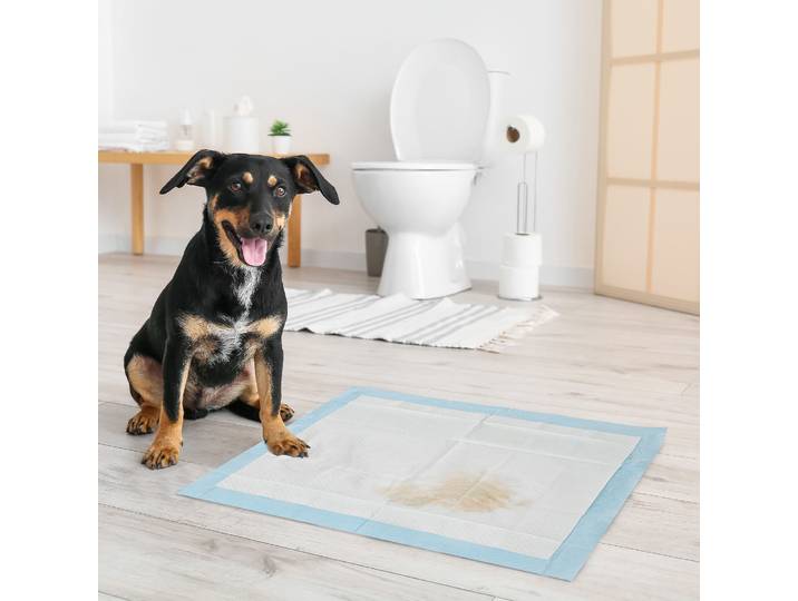 PawHut Tapis d'Entraînement Chien 80pcs Étanche 60x60cm