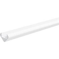 EVN APESW100 APESW100 Eck-Profil 1 St.