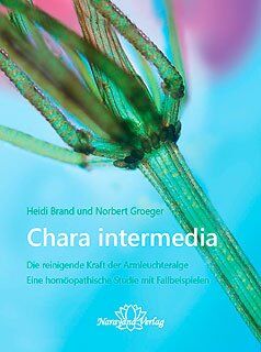 Heide Brand - Brand, H: Chara intermedia - Preis vom 09.10.2026 07:28:09 h