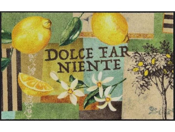 Salonloewe Fussmatte Dolce Far Niente I Schmutzfangmatte & Fußabtreter für Innen 75 x 120 cm
