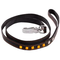 Martin Sellier Fluo (Hund, Spazieren), Halsband + Leine