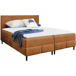 BOXBETT Box Best 2 - H3