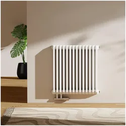 Emke Heizkörper, Doppellagig D-Form Flachheizkörper Seitlicher Anschluss 969W 60x60cm Weiss, Heizkörper, Weiss