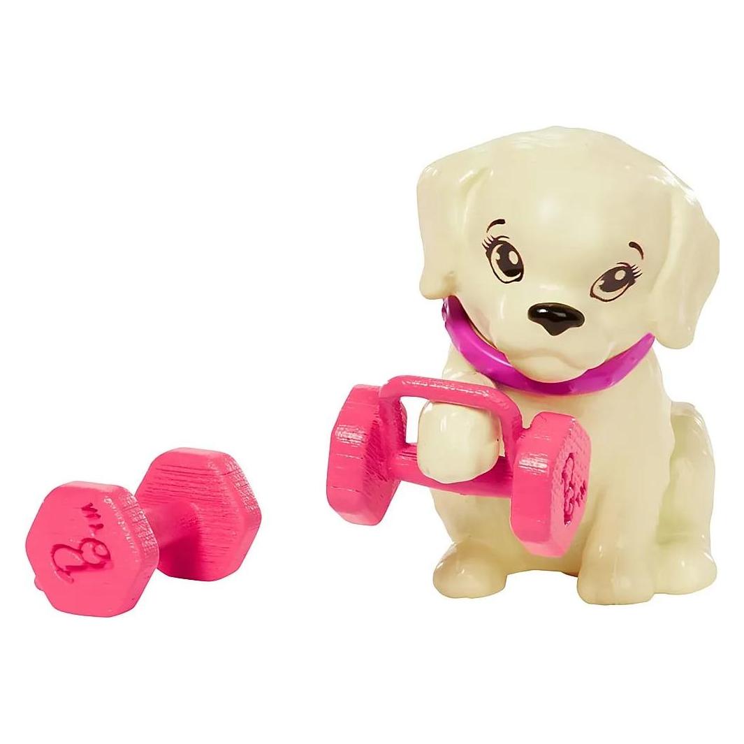 Barbie Athletic Trainer mit Outdoor-Ausrüstung (HKT91)