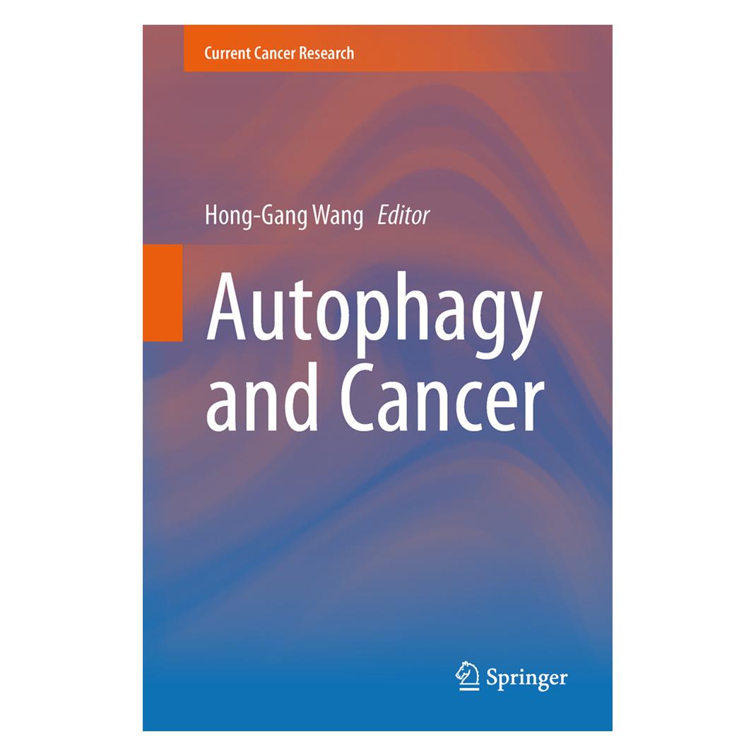 Springer Autophagy and Cancer (Englisch, Softcover, Hong-Gang Wang) (55583001)