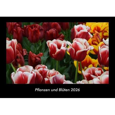 Pflanzen und Blüten 2026 Fotokalender DIN A3
