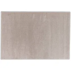 Schöner Wohnen Kollektion Teppich Pure D. 190 C. 006 beige 160x230 cm