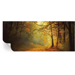 FOTOTAPETE 250x104 cm - Herbstlandschaft