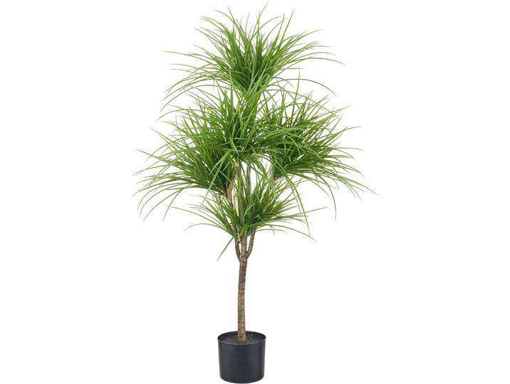 Kunstbaum CREATIV GREEN Dracaena marginata , grün, H:125cm, Obermaterial: 100% Kunststoff, Kunstpflanzen, Kunstbaum, mit naturgetreuem Blattwerk