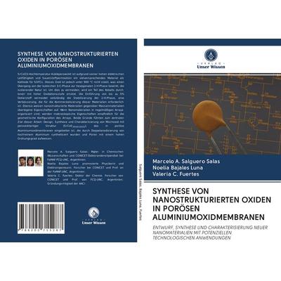 Synthese von Nanostrukturierten Oxiden in Porösen Aluminiumoxidmembranen, Taschenbuch von Marcelo A. Salguero Salas,Noelia Bajales Luna,Valeria C.