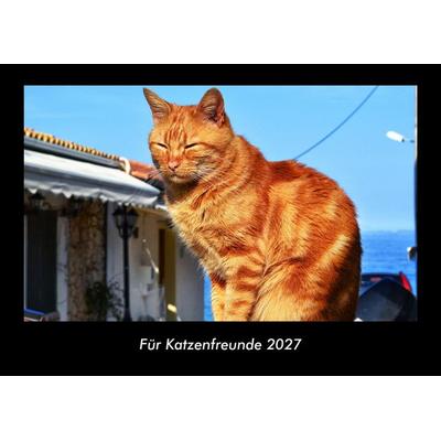 Für Katzenfreunde 2027 Fotokalender DIN A3