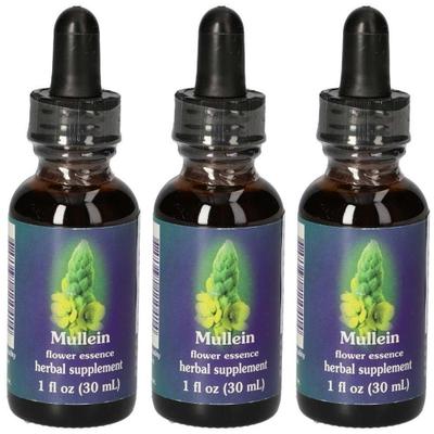Mullein FES kalifornische Blütenessenz Tropfen x3 3x30 ml