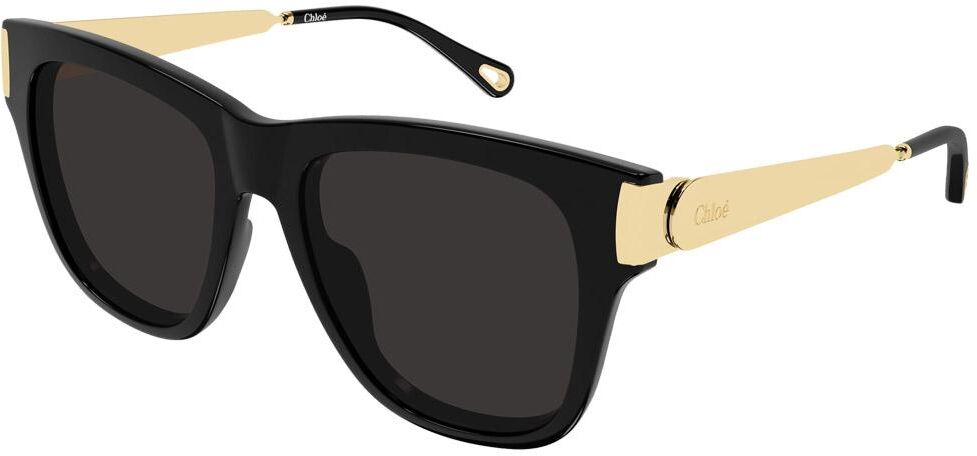 Chloé  - CH0349S 001 Black - Lunettes de soleil