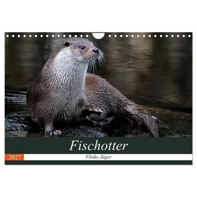 Fischotter, flinke Jäger (Wandkalender 2027 DIN A4 quer), CALVENDO Monatskalender