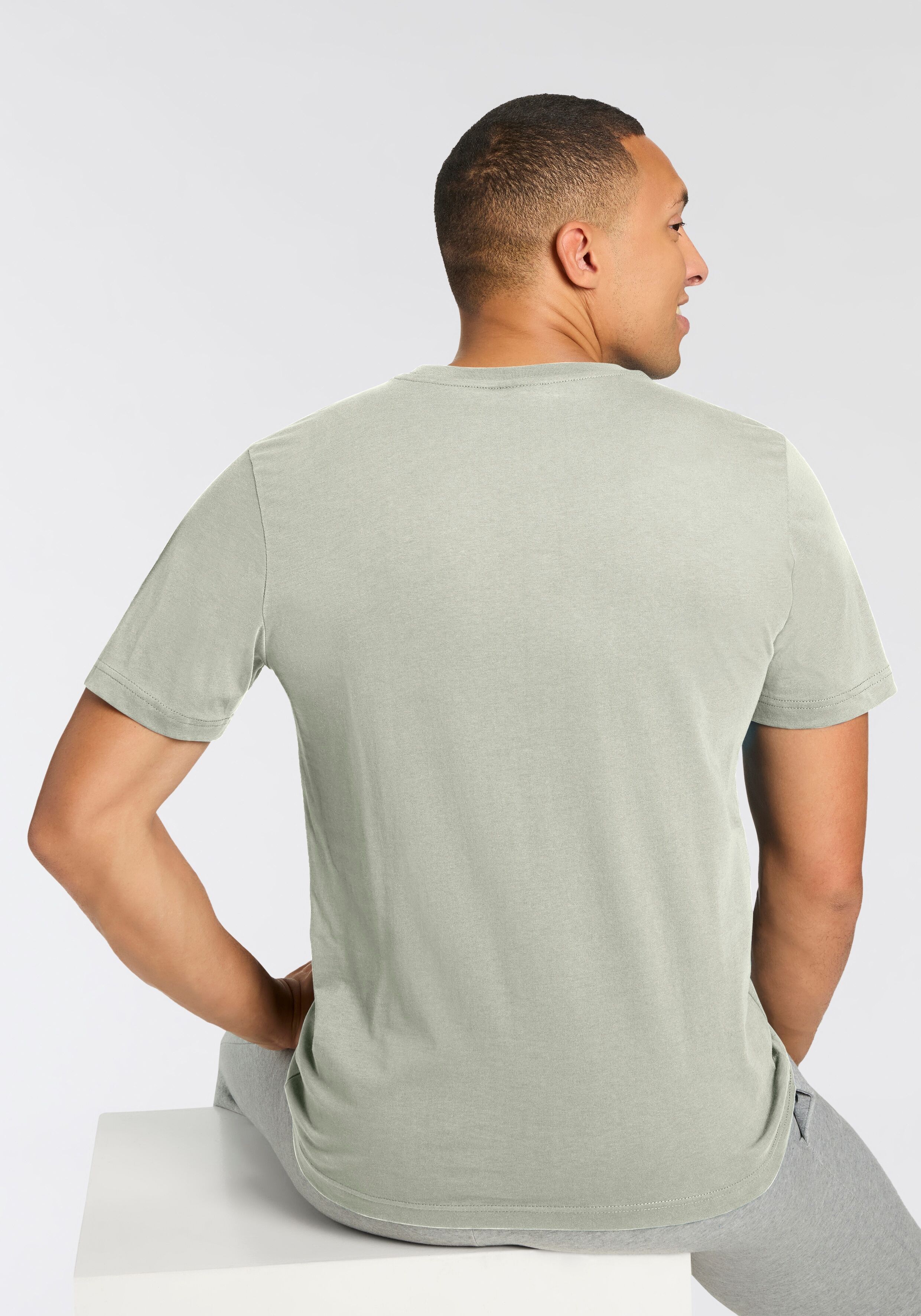 T-Shirt CONVERSE "GO-TO MINI PATCH T-SHIRT", Damen, Gr. XXS, grün (pale surplus), Jersey, Obermaterial: 100% Baumwolle, Rundhals, Shirts T-Shirt, mit Logodruck, Kurzarm, aus Baumwoll-Jersey pale surplus XXS