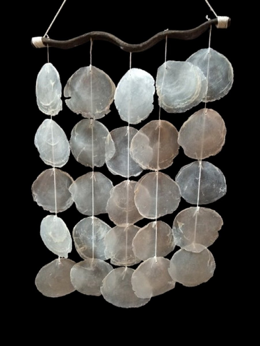 Decoratieve schelpenhanger slinger voor aan de wand