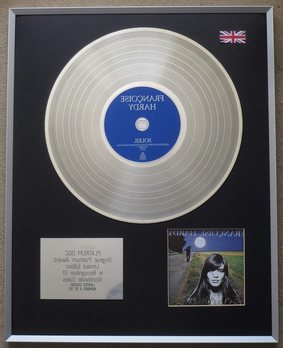 Platinum CD Presentatie Muziek Memorabilia Decoratie Zilver Zwart - 50.8 x 40.6 cm