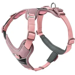 Hunter Divo Up (L, Hund, Allgemein), Halsband + Leine