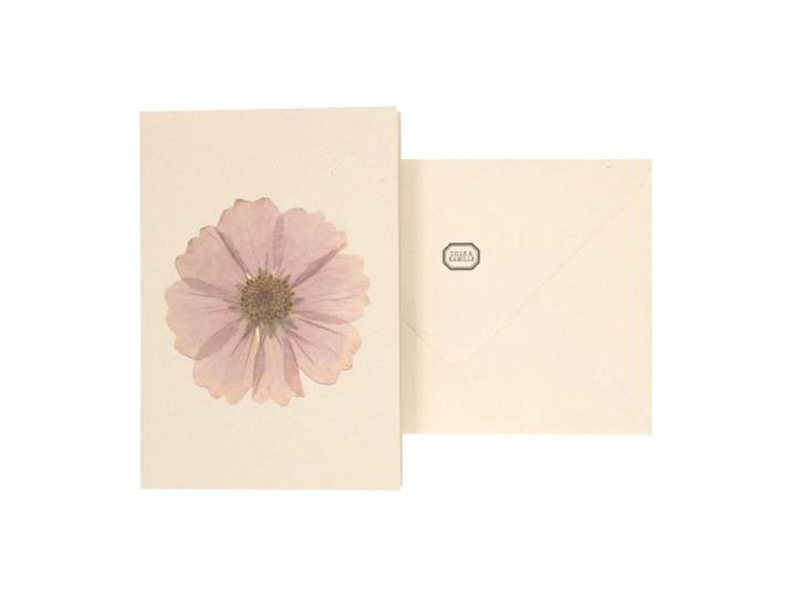 Kaart met envelop, cosmos