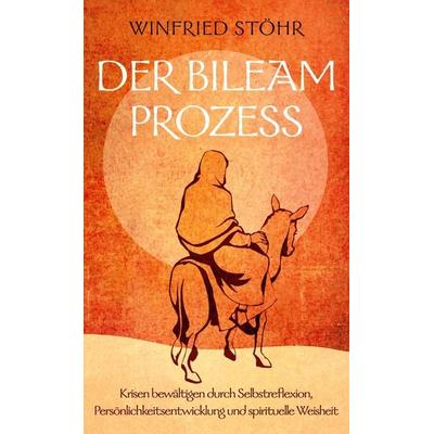 Der Bileam Prozess, Gebundene Ausgabe von Winfried Stöhr, BoD – Books on Demand, 978-3-695-79381-5