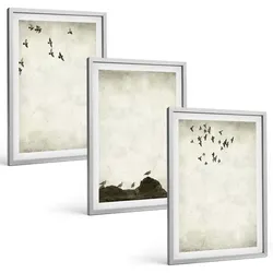 BILDER SET 3er Set - 40x60 cm Silberner Rahmen - Fliegende Vögel Minimalismus