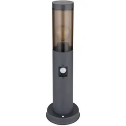 Standleuchte rauch anthrazit Sockelleuchte mit Bewegungsmelder Stehlampe Edelstahl, Fernbedienung dimmbar, 1x RGB LED 8,5W 806Lm, DxH 7,6x45 cm