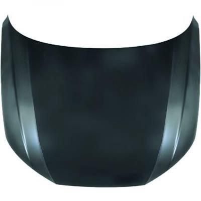 DIEDERICHS Motorhaube 1020000 für Audi