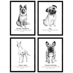 POSTER Set mit 4 Hunderasse A4 Rahmenlos