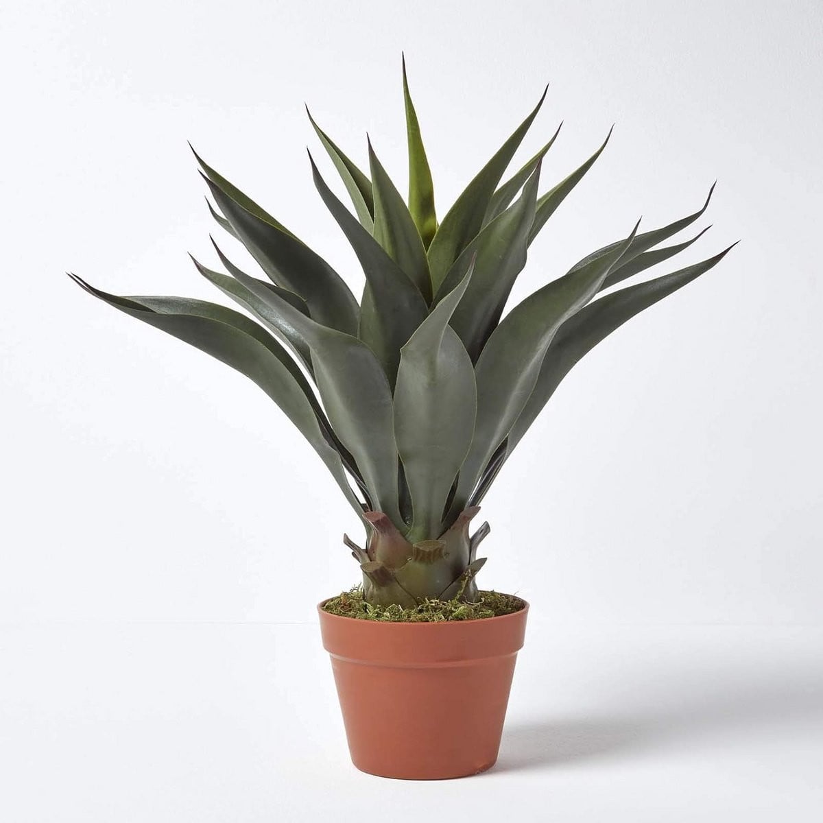 Realistische Kunstmatige Agave Americana Plant in Bruine Pot, Hoogte: 60 cm