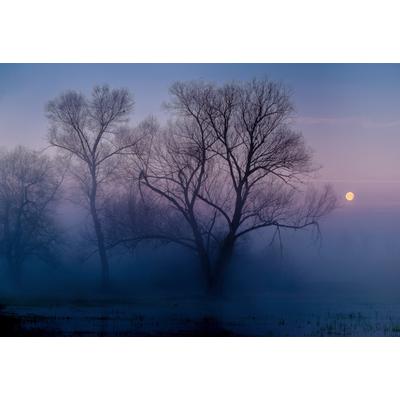 Fototapete PAPERMOON "Photo-Art ANDREAS AGAZZI, EIN WEITERER NEUER TAG", bunt, B:5m L:2,8m, Vlies, Tapeten