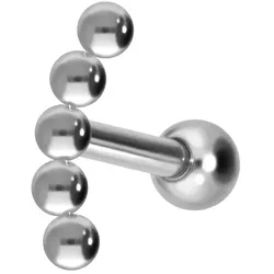 Titan Ohrpiercing 5 KUGELN