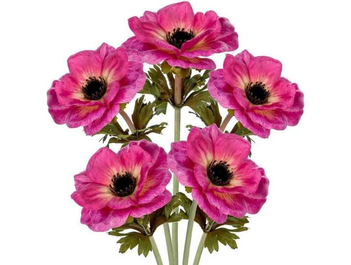 Kunstblumen 5er Set Anemonen Rosa 53 cm, Kunststoff, 53 cm, Dekoration, Blumen & Blumentöpfe, Kunstblumen