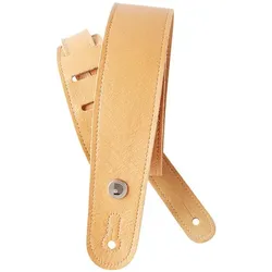 D'Addario 20GL03, Gitarre Zubehör