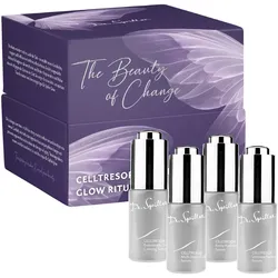 Dr. Spiller The Beauty of Change Celltresor Weihnachtsset 2026 40 ml