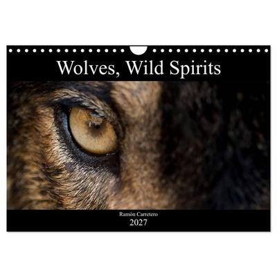 Wolves, Wild Spirits (Wall Calendar 2027 DIN A4 landscape), CALVENDO 12 Month Wall Calendar
