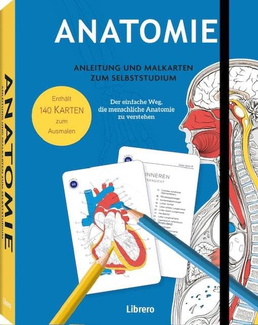 Gary Sacks - Anatomie – Anleitung und Malkarten zum Selbststudium: Anatomie – Anleitung und Malkarten zum Selbststudium. Der einfache Weg, die menschliche Anatomie ... mit anatomischen Bildern und Begriffen - Preis vom 06.10.2026 07:26:00 h