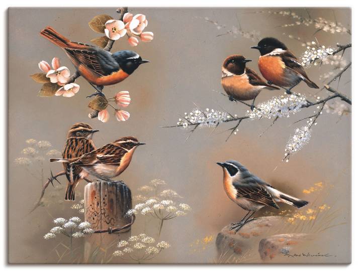 Leinwandbild ARTLAND Vogel Komposition , braun (farbe bild(er): braun), B:60cm H:45cm, Bilder, Leinwandbild, auf Holzrahmen gespannt