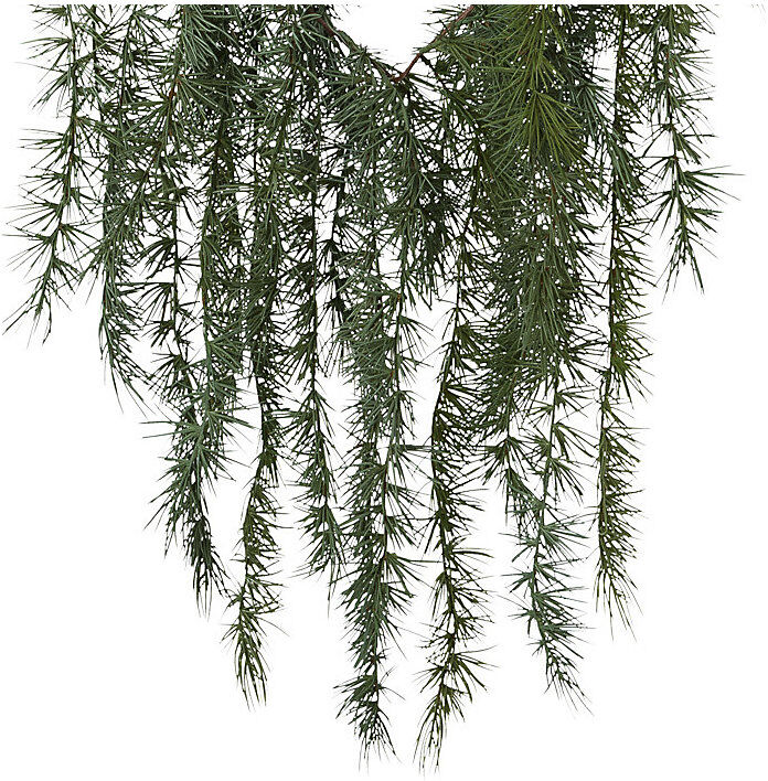 kaiserkraft Zederngirlande, mit Zapfen, Länge 190 cm