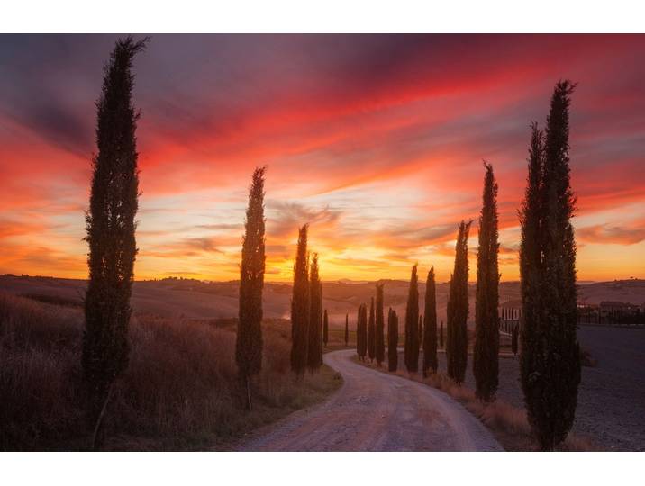 Fototapete PAPERMOON Photo-Art ROSTOVSKIY ANTON, TOSKANA-SONNENUNTERGANG , bunt, B:1,5m L:1,11m, Vlies, Tapeten, Fototapete