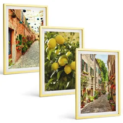 BILDER SET 3er Set - 40x60 cm Goldrahmen - Straßen mit Zitronenblüten im Hintergrund
